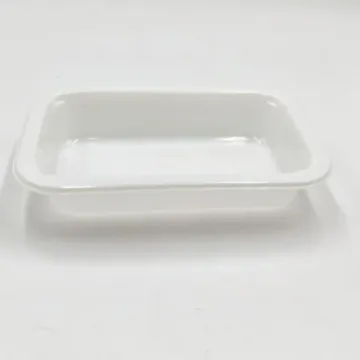 Customized Blister Vacuum Forming PET Packing Tray