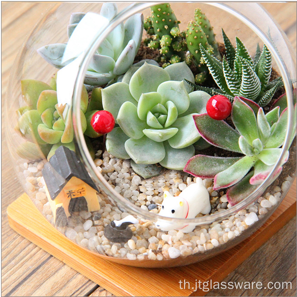 Terrarium เรขาคณิตฉ่ำแก้วเป่าด้วยมือ