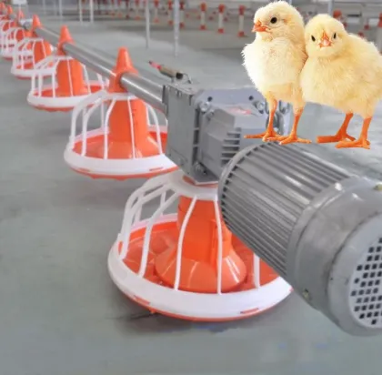 Modern Automated Broiler Chicken and Duck Farm Equipment: Complete Poultry Raising Systems