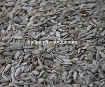 Sunflower kernel from shelling machine