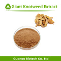 Precio en polvo de extracto de rizoma de Knotweed gigante