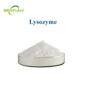 High-Purity Lysozyme Enzyme for Research