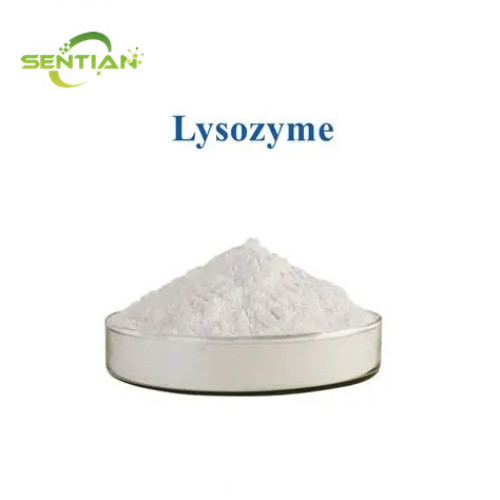 High-Purity Lysozyme Enzyme for Research