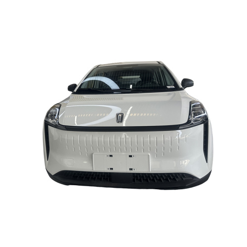 Comfortable Travel Pentium NAT Electric Vehicle