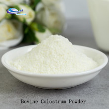 High quality organic bovine colostrum powder