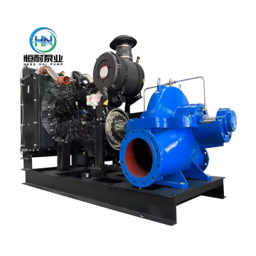S/Sh Series Horizontal Double Suction Axially Split Case High Flow and Head Irrigation Pump
