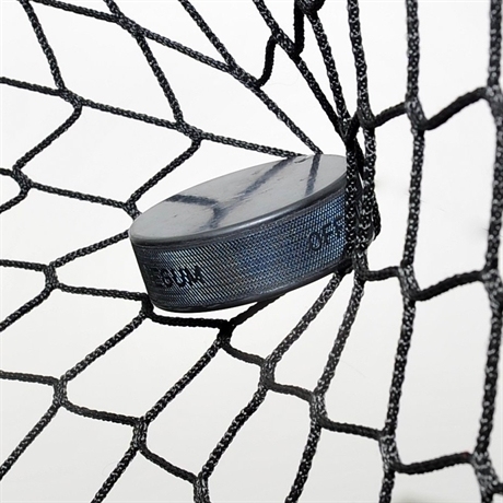 Red de seguridad de límite de hockey