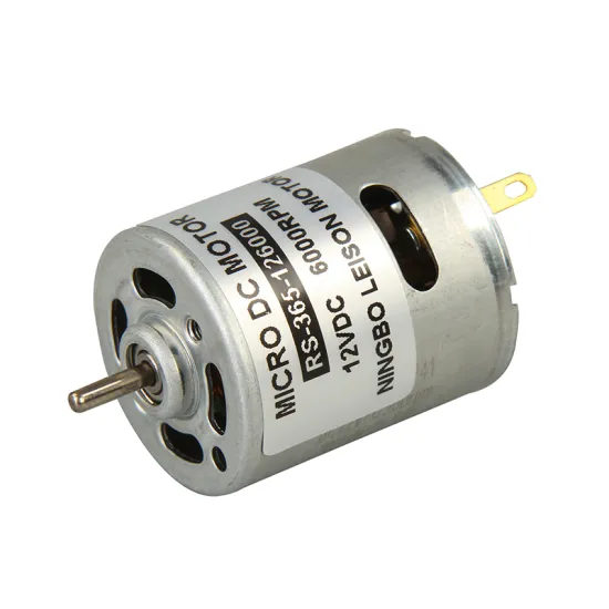 Custom Brushed DC Motors (6V-36V, 360-997) from China Factory