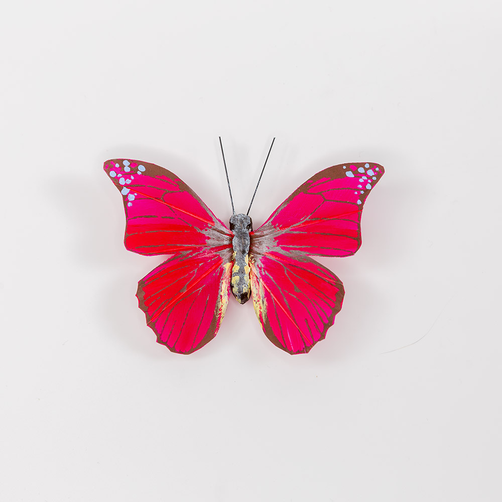 Motyl 3D Craft