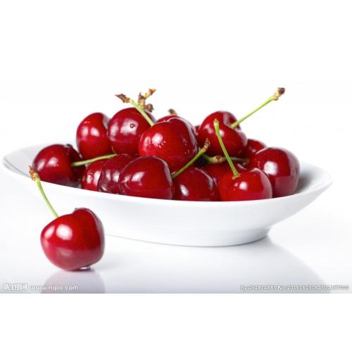 High quality of acerola cherry extract 25% VC