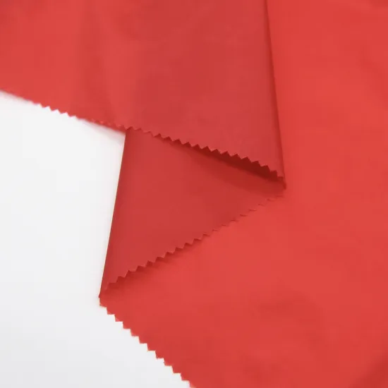 Nylon Fabric for Down Jackets