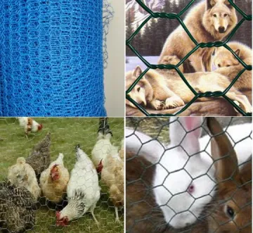 breeding hexagonal wire mesh