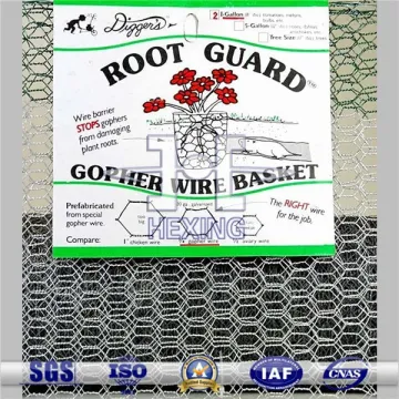 Tree Root guard gopher wire baskets