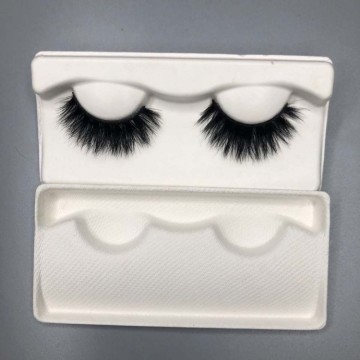 Biodegradable bagasse molded eyelash packaging pulp tray