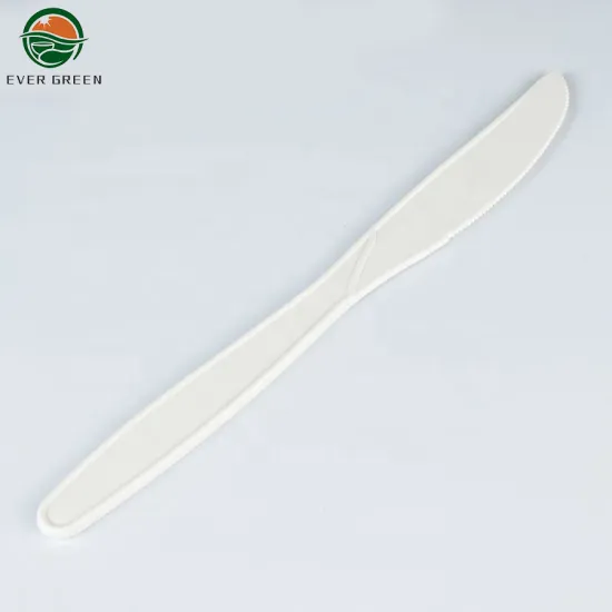 Eco-friendly cornstarch disposable soup spoons