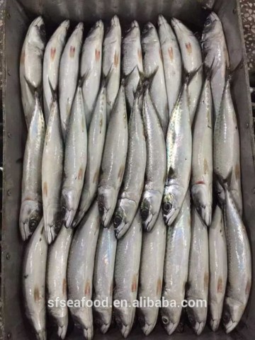 sesame seed meal frozen mackerel