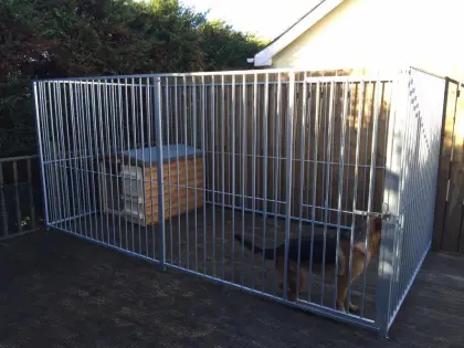 Large Outdoor Dog Kennel