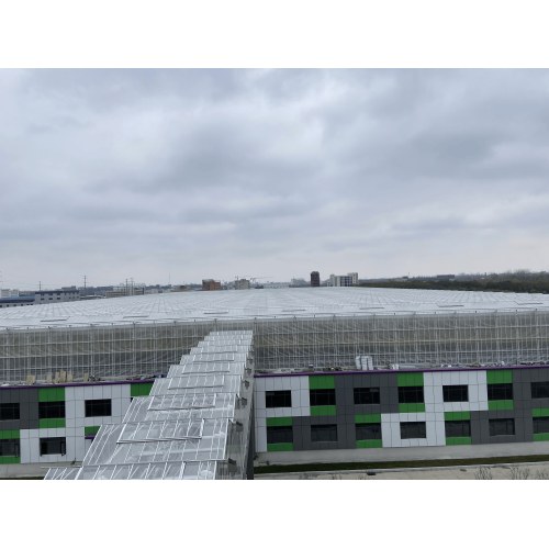 Sky Farm Greenhouse Structure