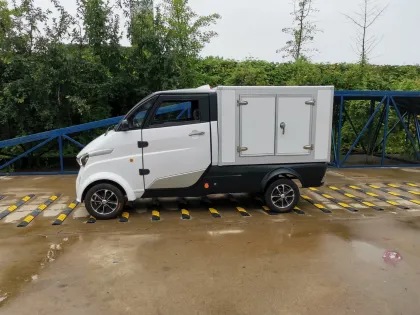 Smart Electric Express Vehicle for Transportation Company