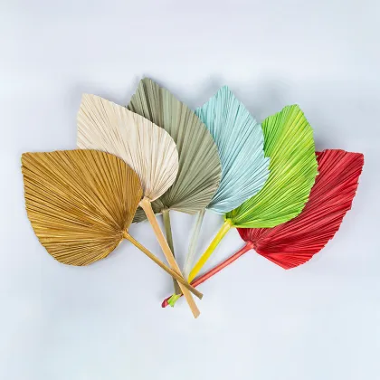 2022 Popular Tropical Dried Palm Leaves for Wedding Decorations
