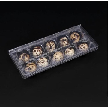 Disposable plastic quail egg tray with 10 holes