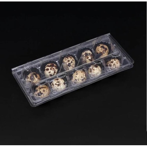 Einnota plast Quail egg bakki með 10 holur