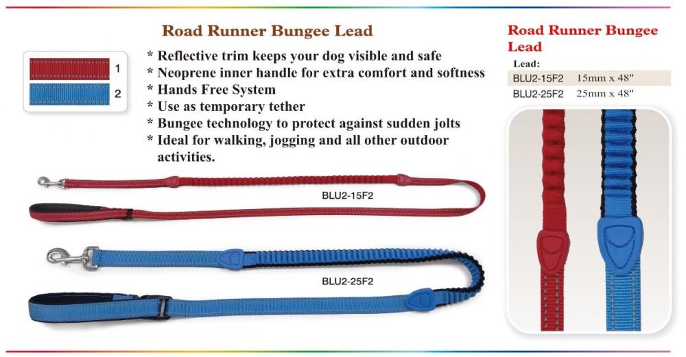 Road Runner Bungee Lead