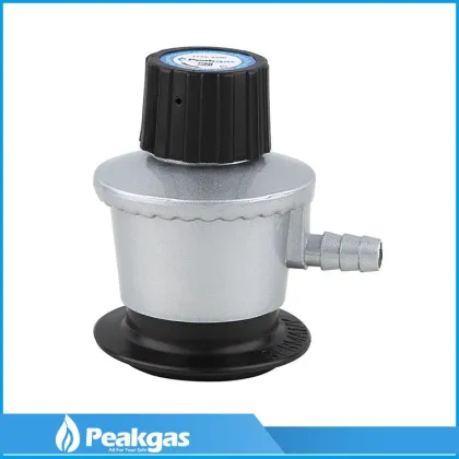 High Quality Durable Gas Regulator jyt-0.6a