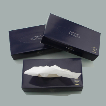 Scented Box Facial Tissue