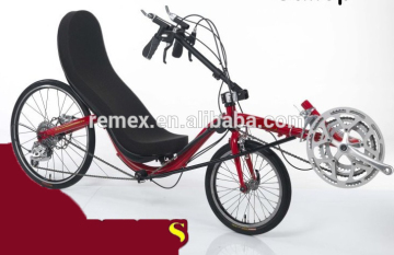 Recumbent Concept 2 Wheels