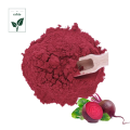 High Quality Beet root Extract