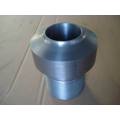 SS304 Steel Nipolet Fittings
