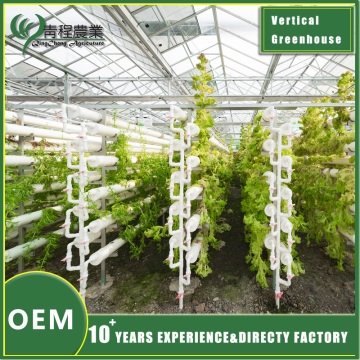 Модульнае рашэнне для вертыкальнай цяпліцы