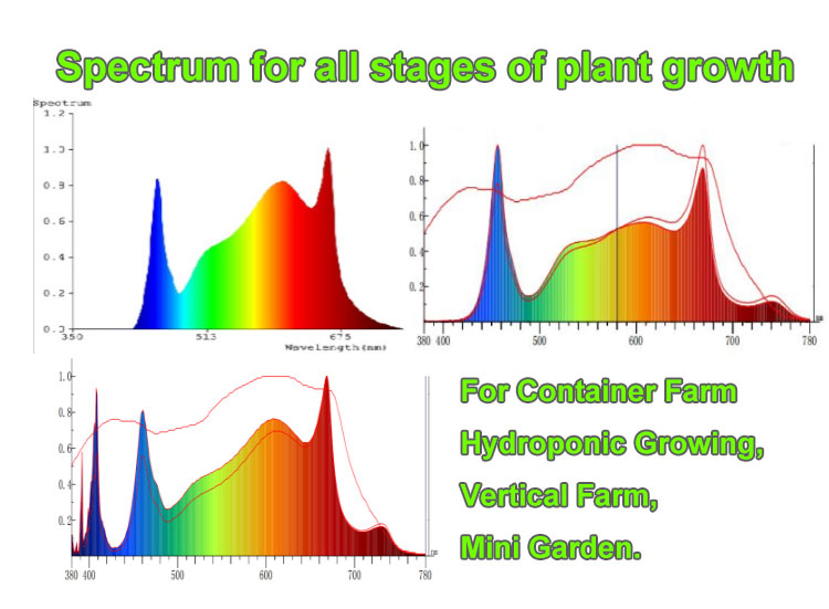 5x5 Led Grow Light