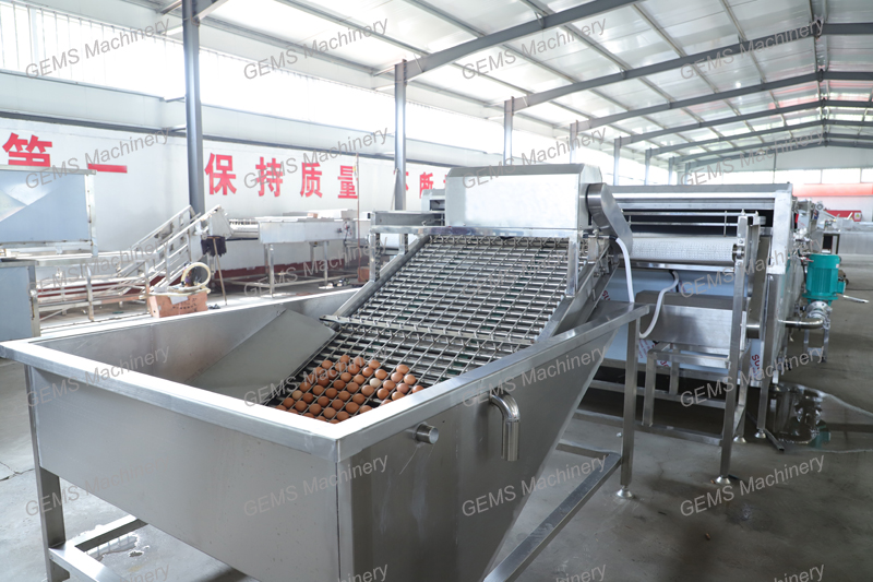 Equipments for Hard Boiled and Peeled Eggs Processing