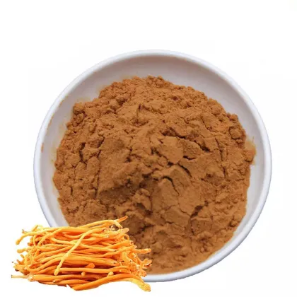 Bulk cordyceps militaris extract powder​