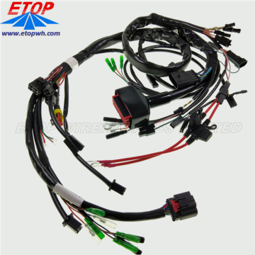 ECU Wiring Harness and Ampseal Connector Cable Assembly