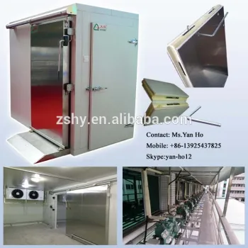 Cam lock type PU panel cold room with sliding door