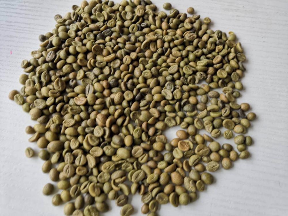 Cà phê Robusta trực tuyến