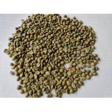 Robusta ကော်ဖီစေ့များအွန်လိုင်း