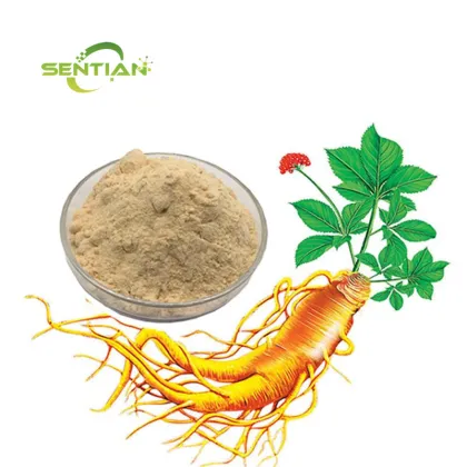 Ginseng Root Extract Powder