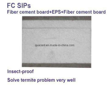 Sandwich Panels / Structural Insulated Panels (SIPs)