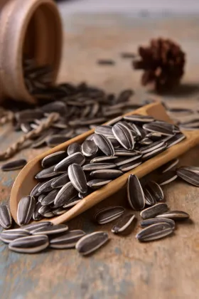 pure 361 sunflower seeds bayannur origin