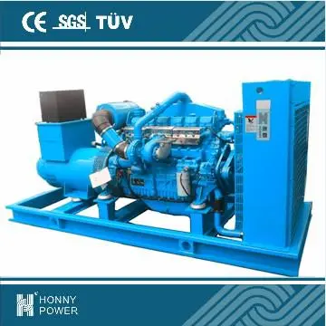 Cummins Electric Generator 300kVA