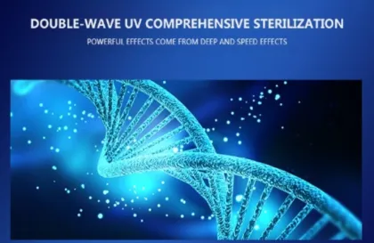 Homemade Disinfectant Carpet Germicidal Bleach