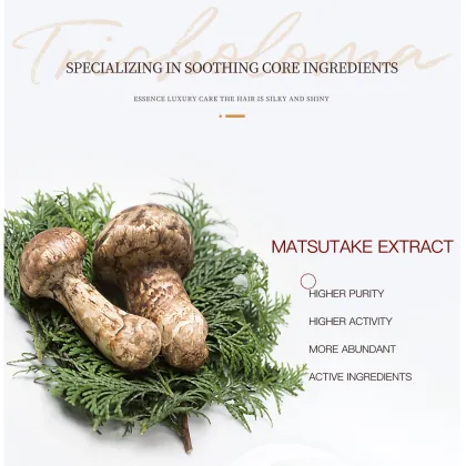 OEM Skincare Kit: Matsutake Mushroom Face Care Set for Sensitive Skin - Brighten, Moisturize, Repair