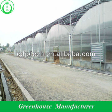 multi span polycarbonate china greenhouses