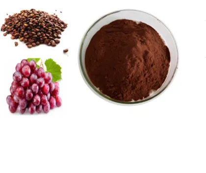 Fruit Extract Organic OPC Grape Seed Extract Powder