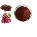 Supply Fruit Extract Organic OPC Grape Seed Extract