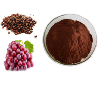 Fruit Extract Organic OPC Grape Seed Extract Powder